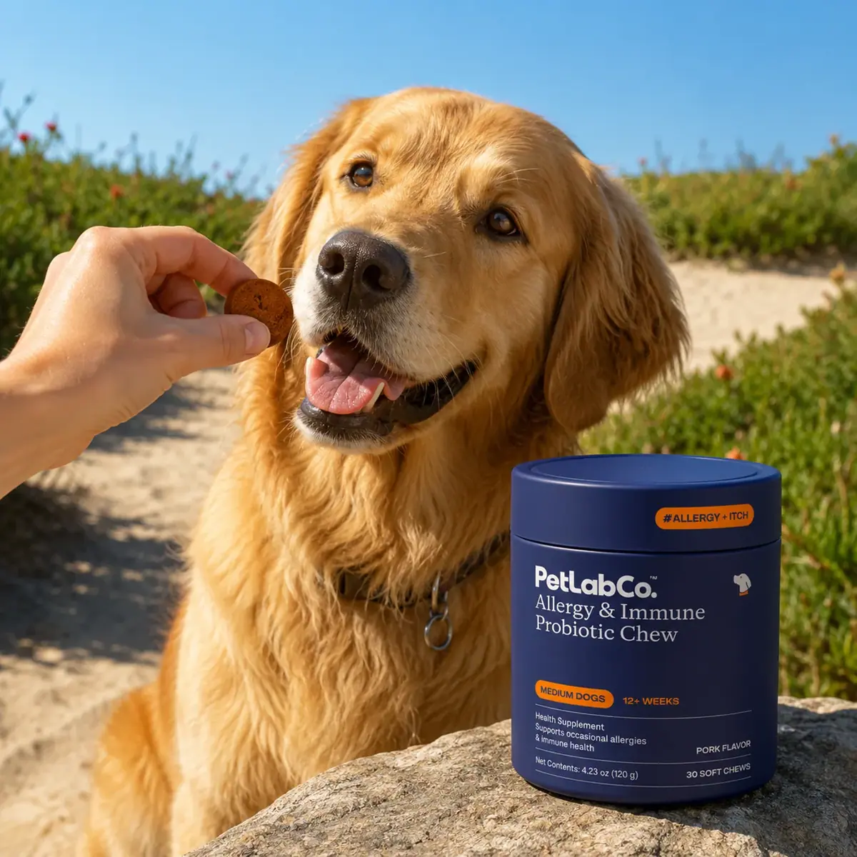 PetLabCo. — Allergy & Immune hero