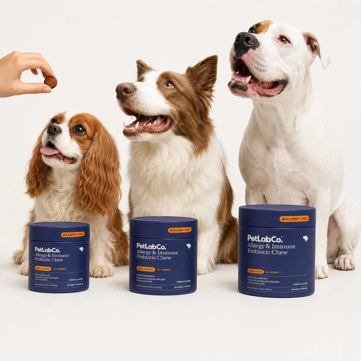 Three dogs beside small, medium and large PetLabCo. tubs