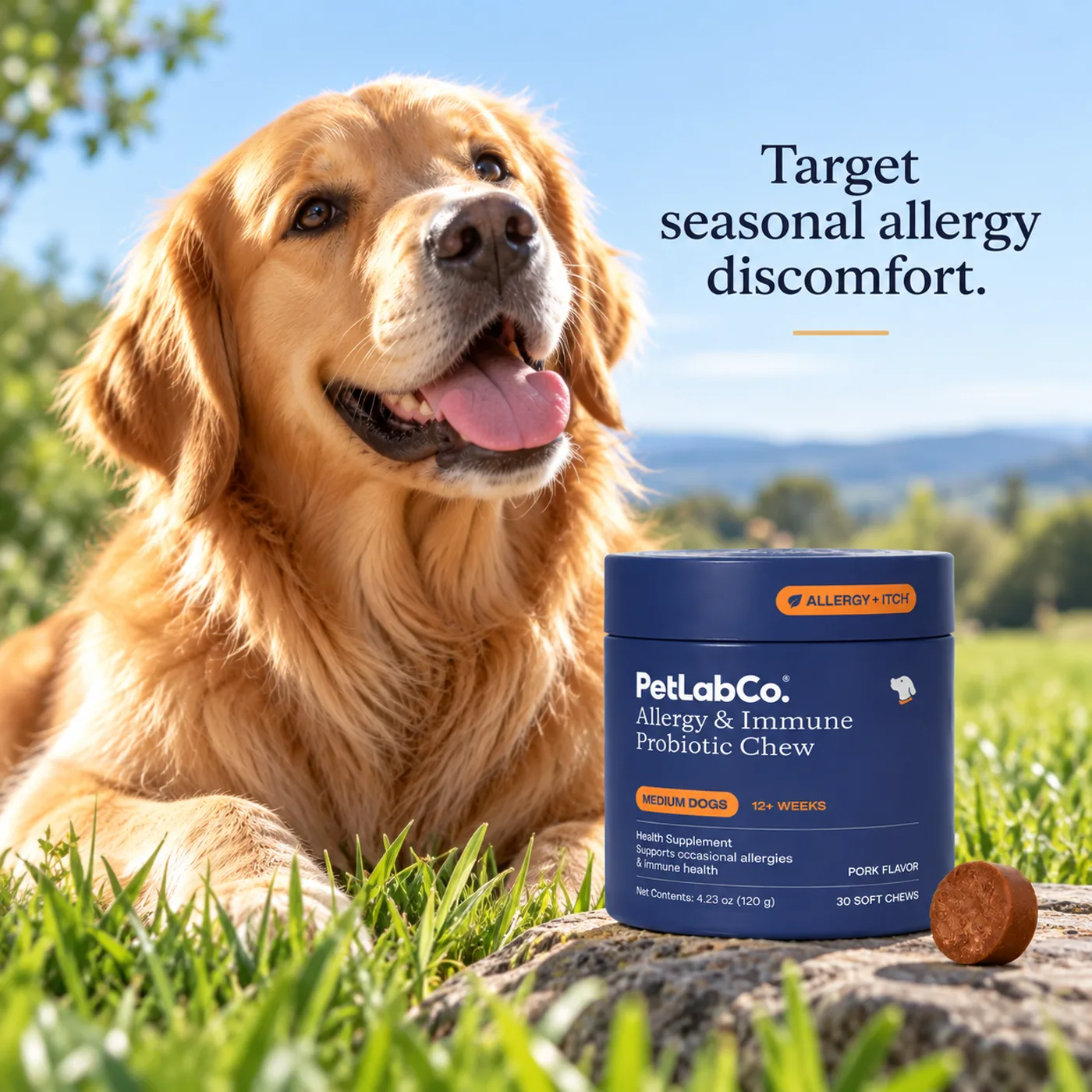 Golden retriever outdoors with seasonal allergy support messaging