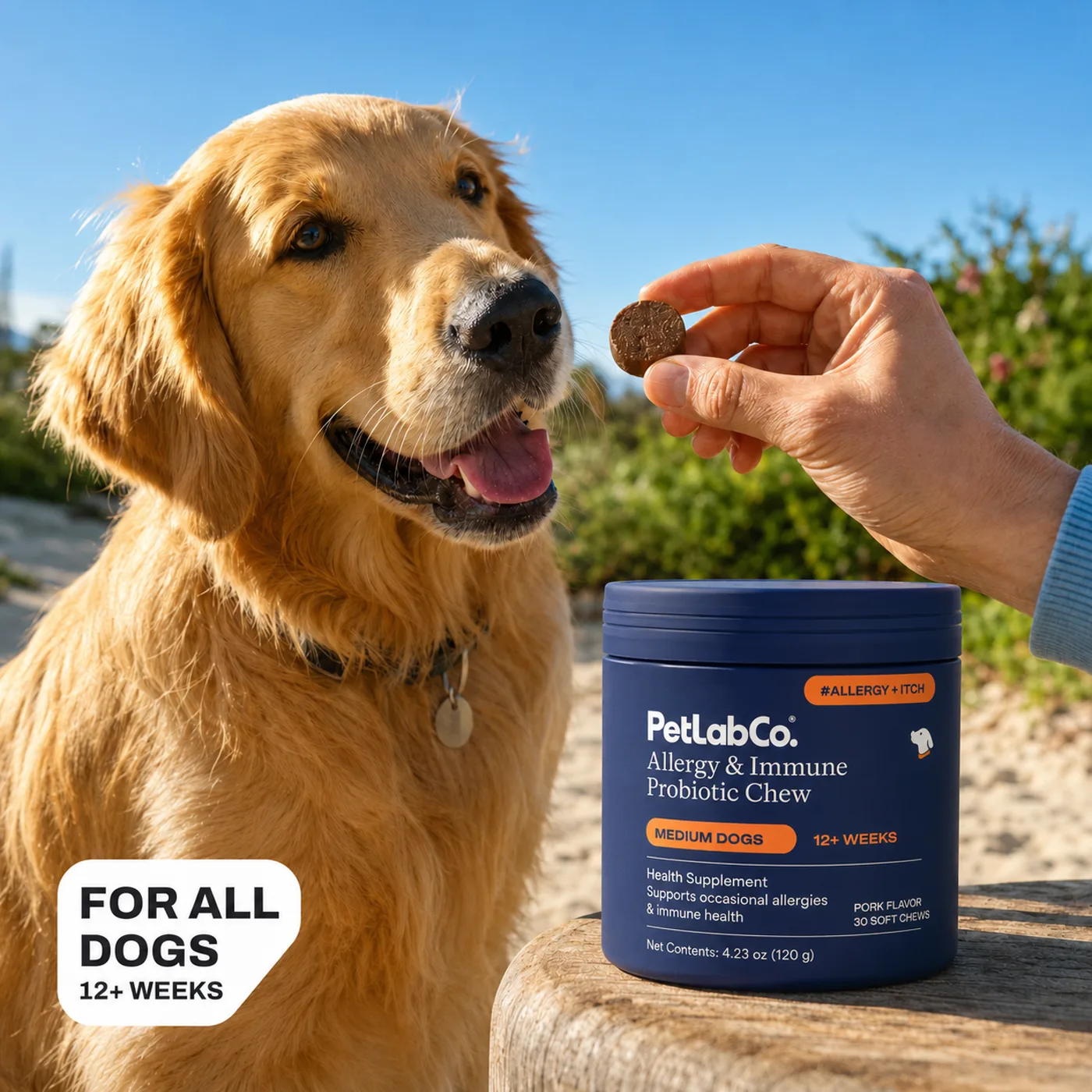 Owner feeding a golden retriever a chew with For all dogs messaging