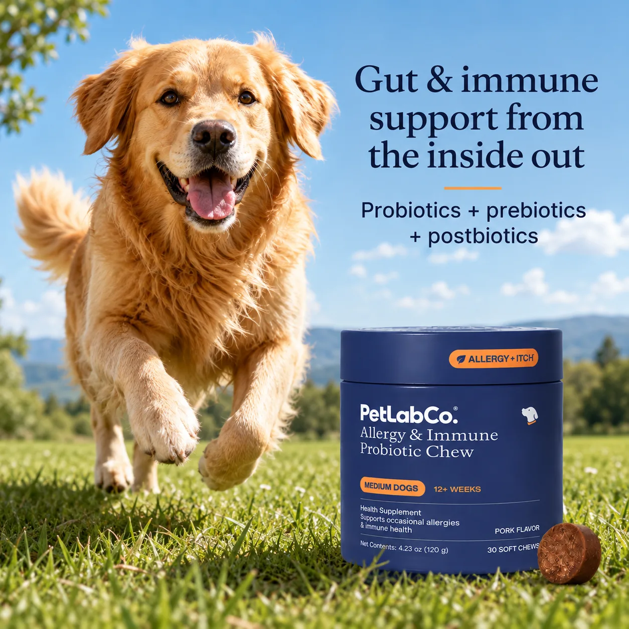 Golden retriever fetching beside the PetLabCo. tub with gut and immune support message