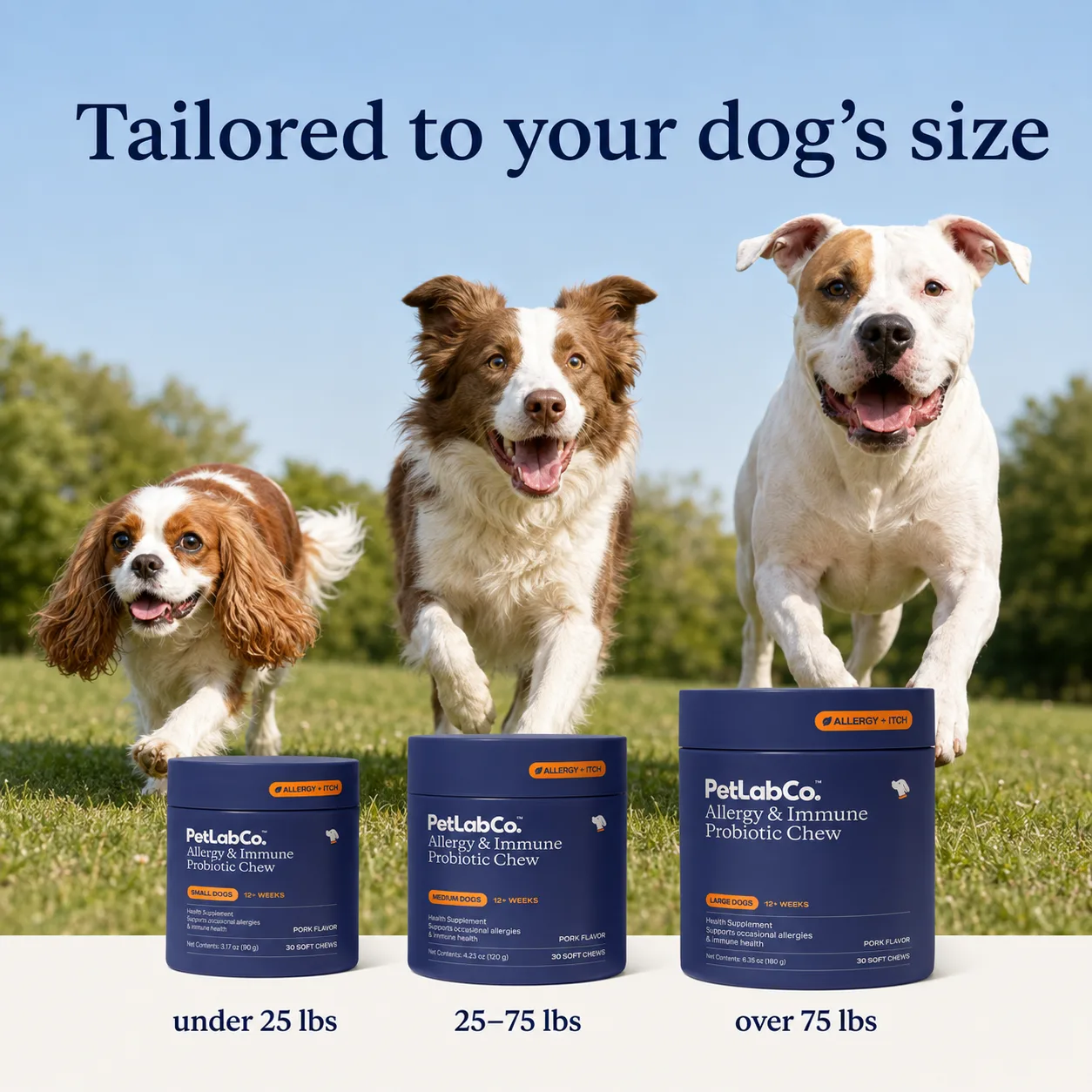 Three running dogs beside small, medium and large tubs with weight ranges