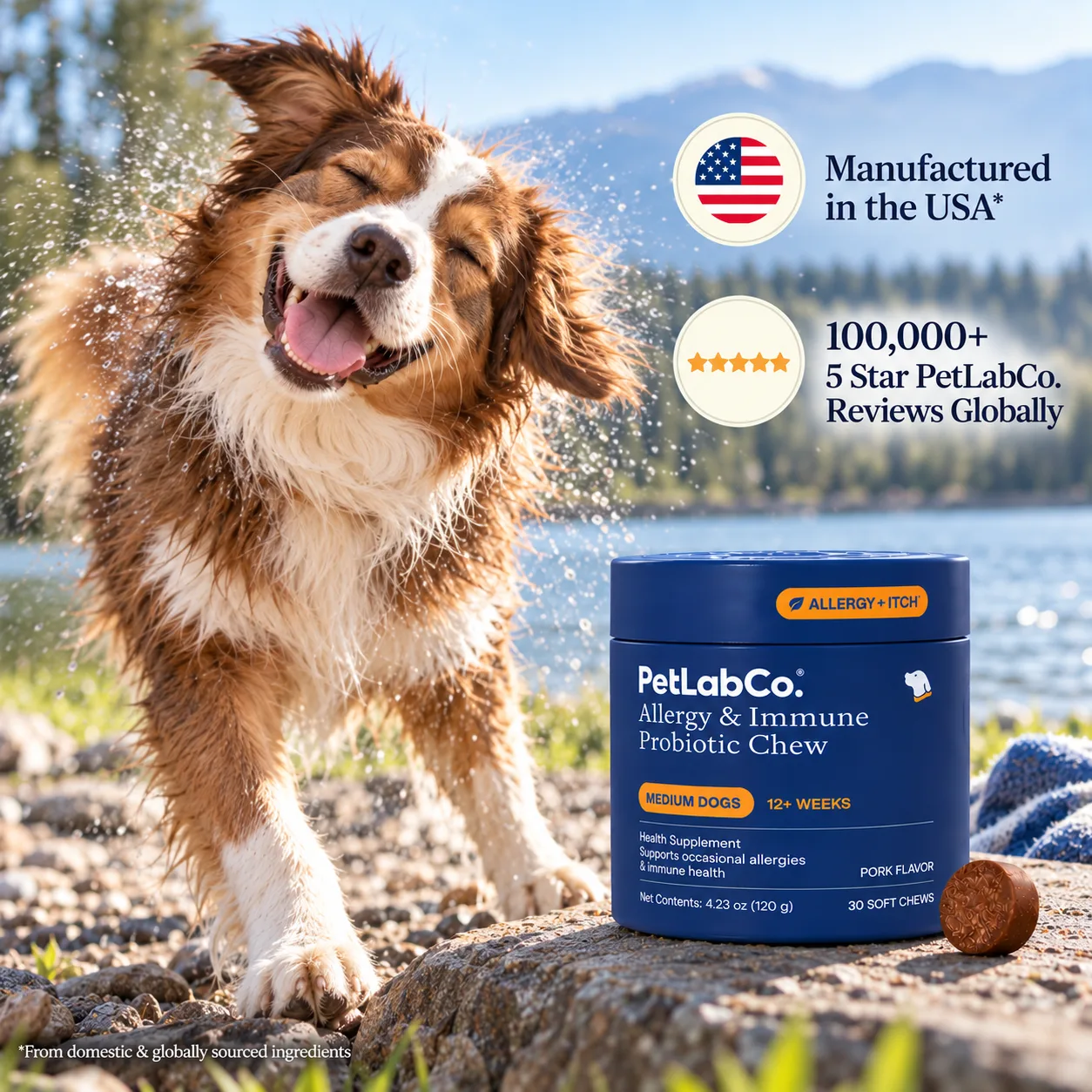 Wet collie shaking off water with Manufactured in the USA and 100,000+ five-star reviews badges