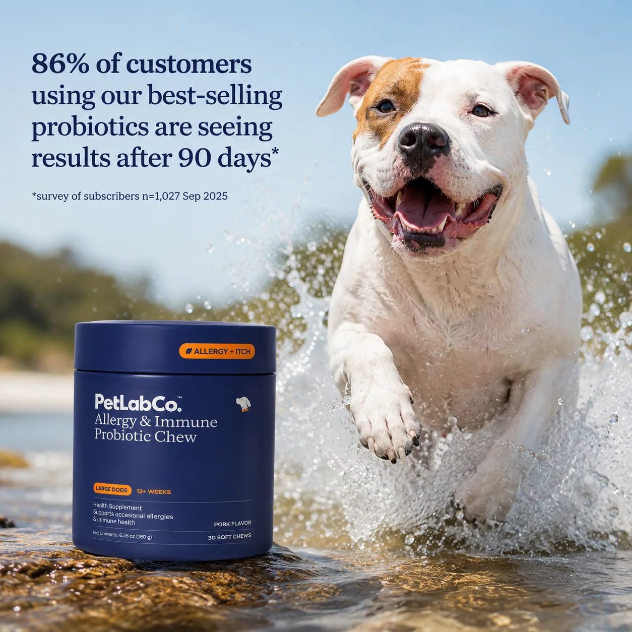 Large dog leaping through water with 86 percent of customers seeing results after 90 days claim
